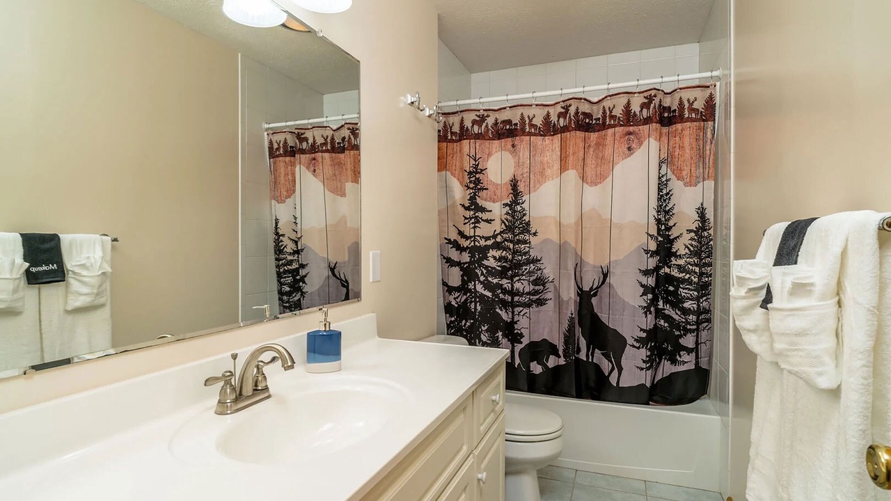 Photo of Bathroom in Massanutten