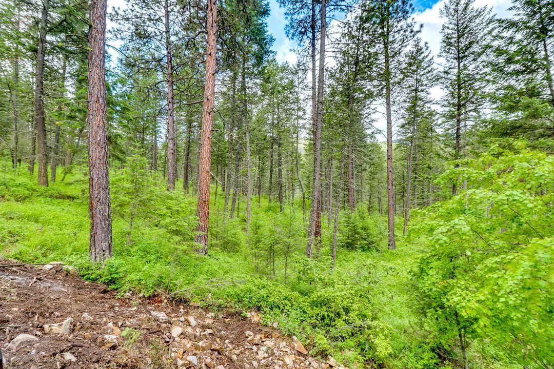 Photo of Others in Polson