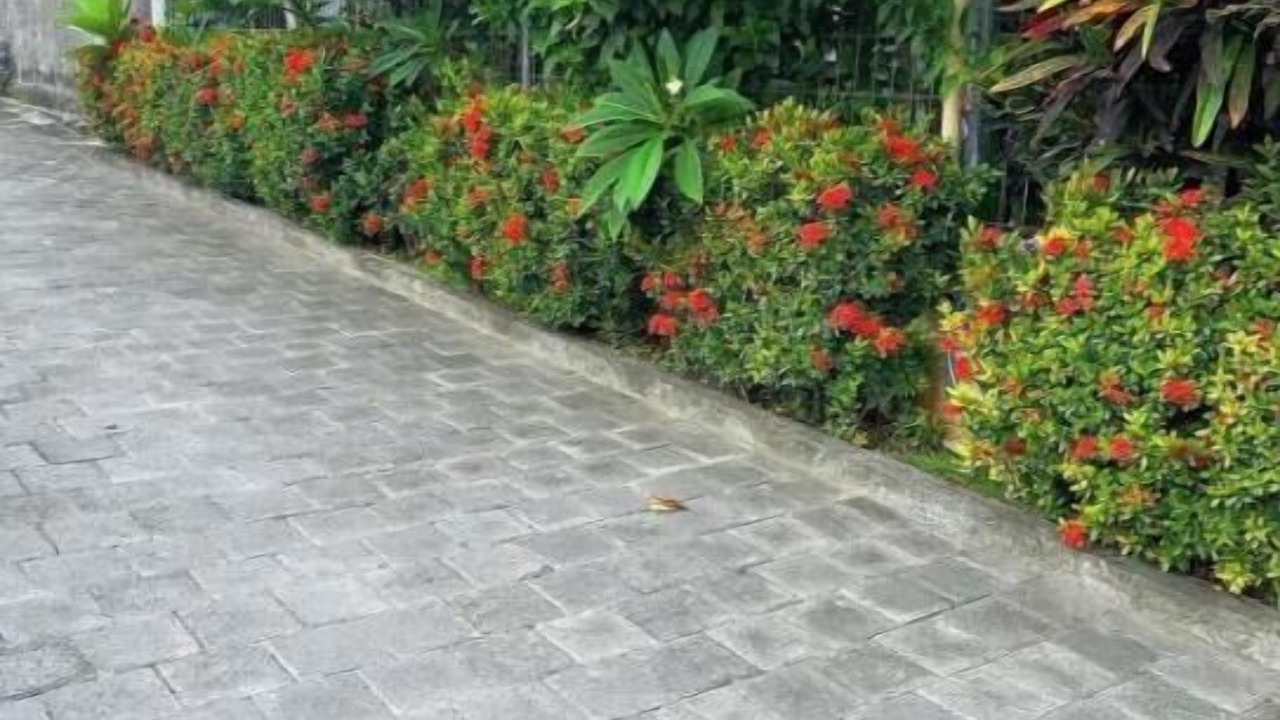 Photo of Outdoor in Munggu