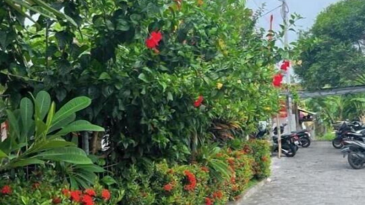 Photo of Outdoor in Munggu