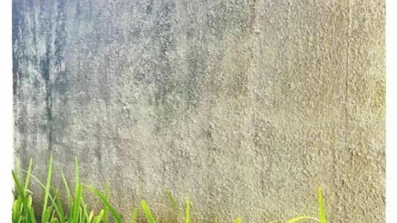 Photo of Outdoor in Munggu