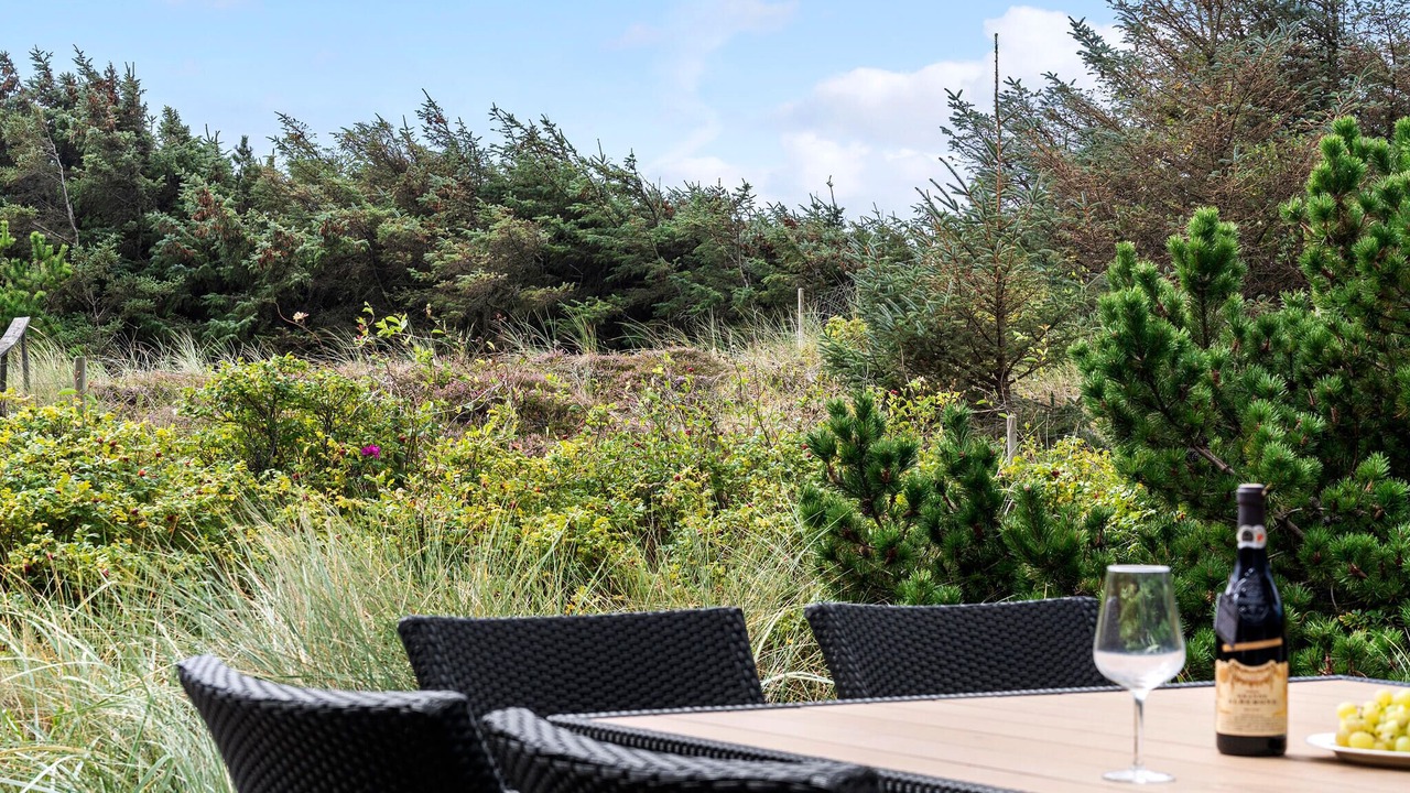 Photo of Others in Houvig Strand