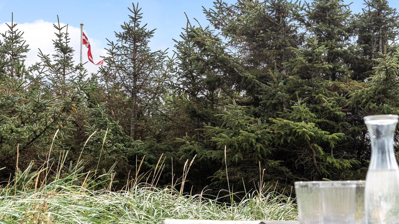 Photo of Bedroom in Houvig Strand