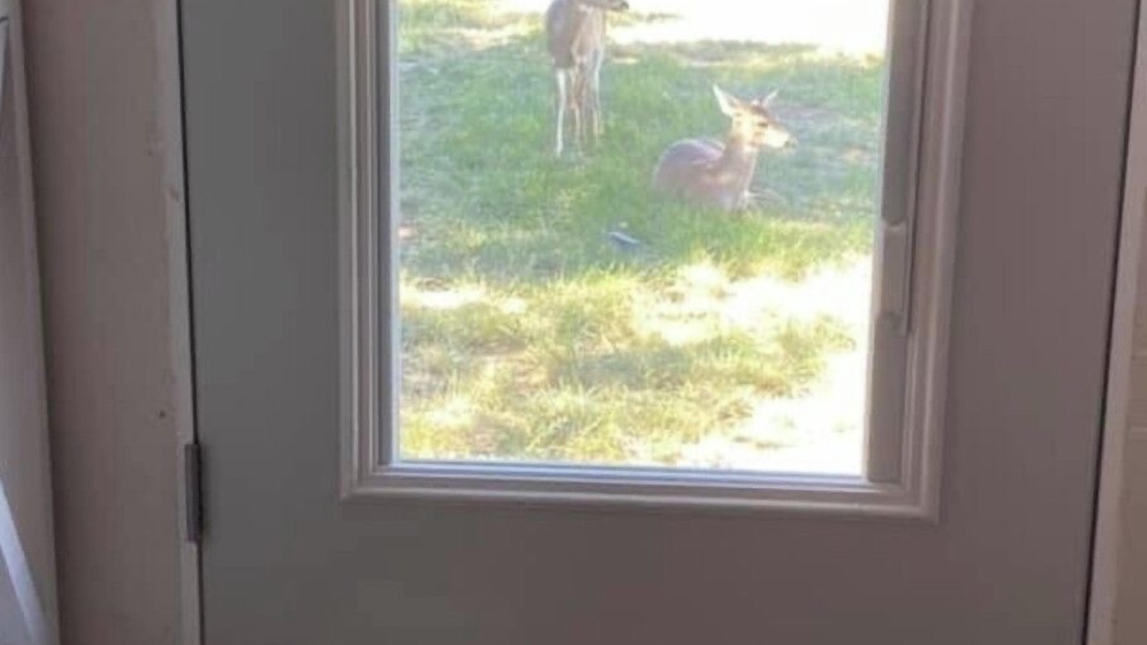 Photo of Others in Crosbyton