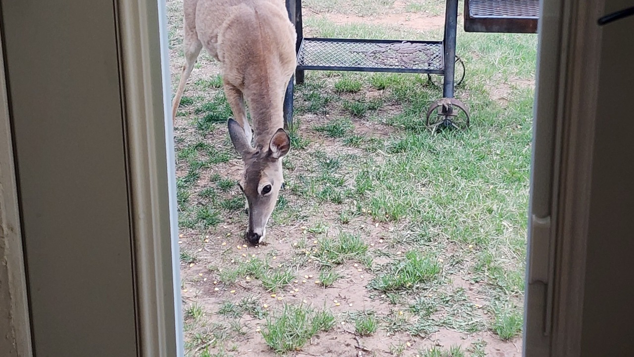 Photo of Others in Crosbyton