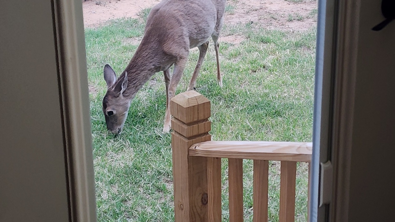 Photo of Others in Crosbyton