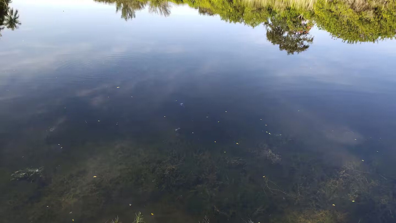 Photo of Others in Pompano Beach