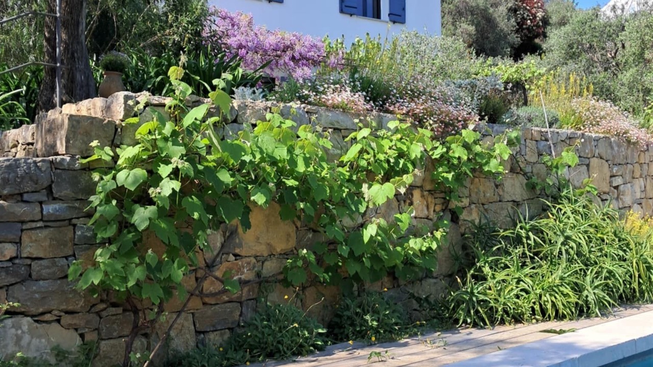 Photo of Outdoor in Opio