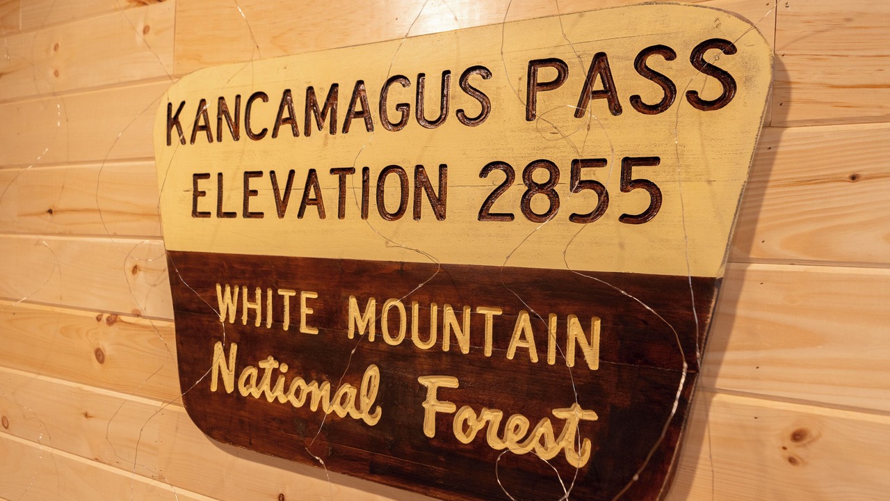 Photo of Others in Thornton