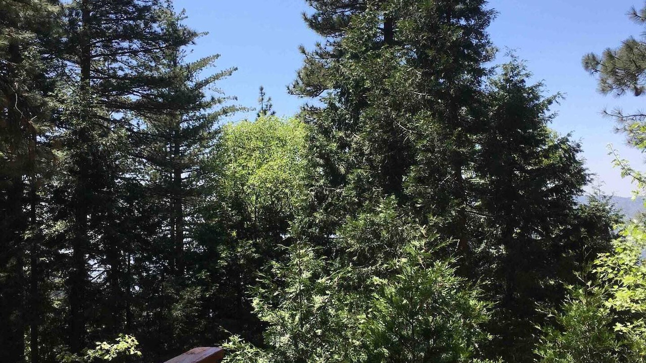 Photo of Outdoor in Running Springs