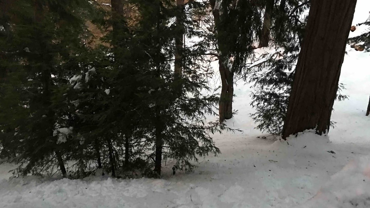 Photo of Outdoor in Running Springs