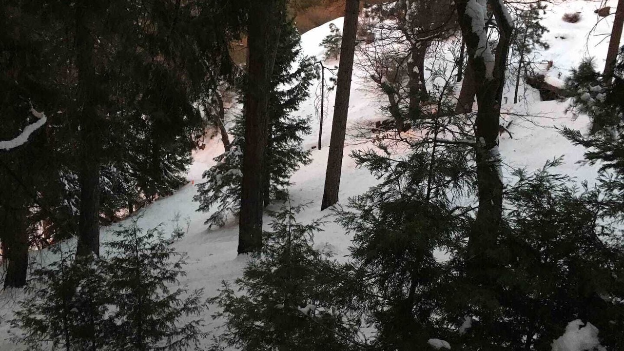 Photo of Others in Running Springs