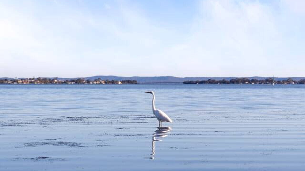 Photo of Others in Buff Point