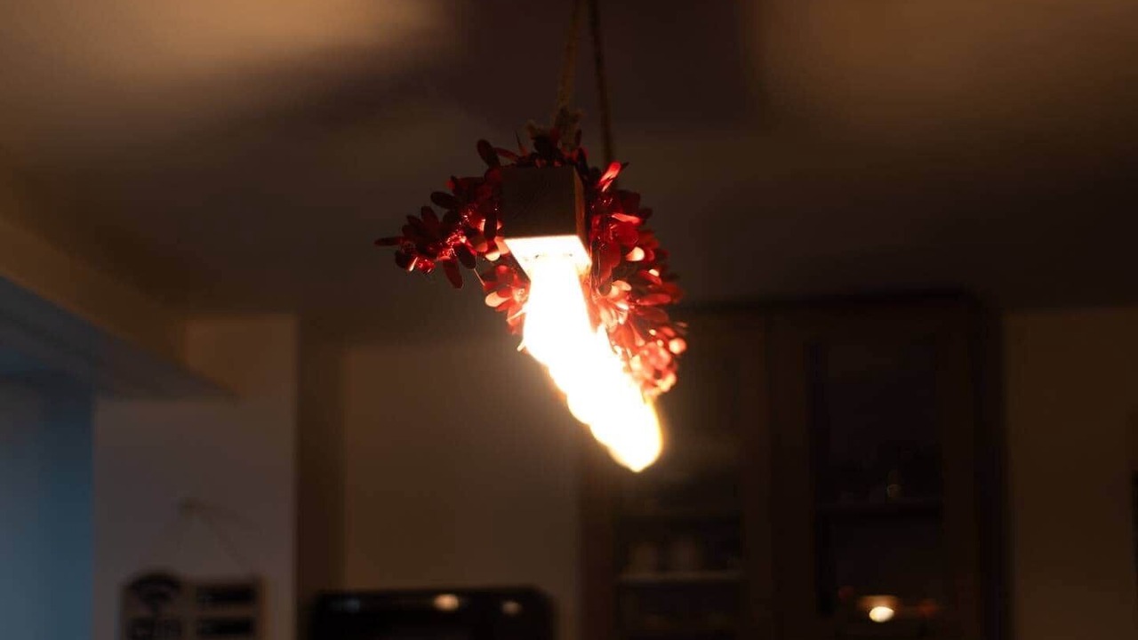 Photo of Others in Vieux-Charmont