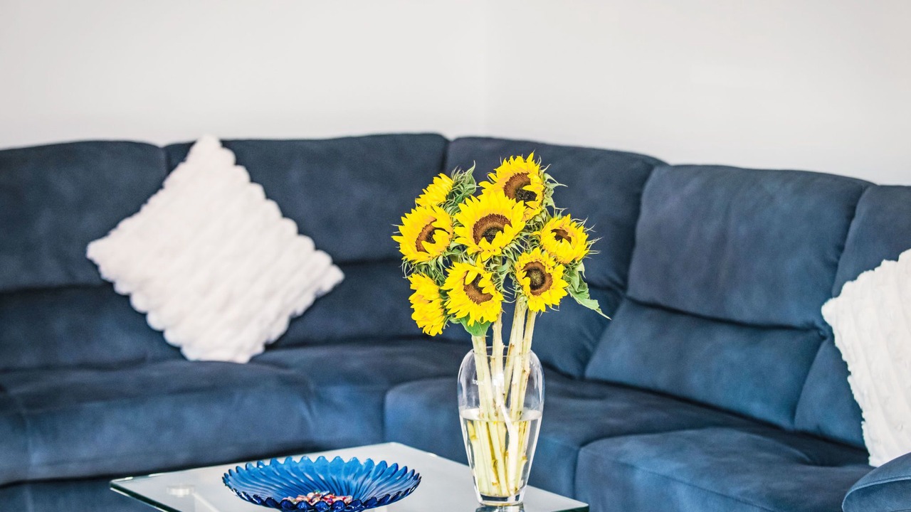 Photo of Livingroom in Forres