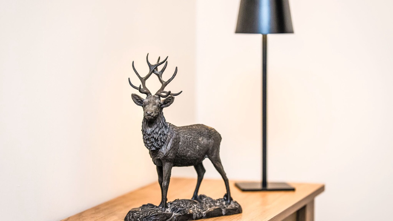 Photo of Others in Forres