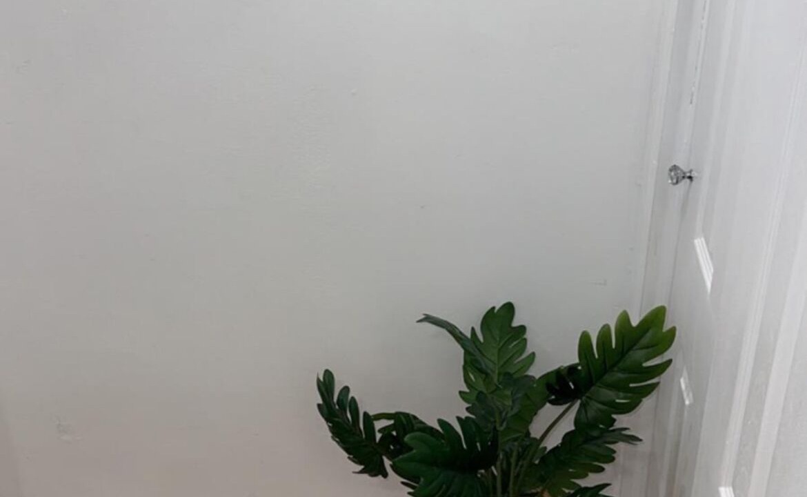 Photo of Others in North Bergen