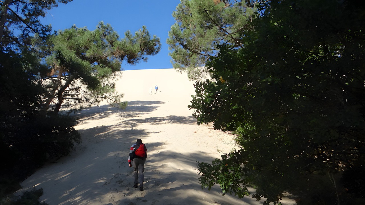 Photo of Others in Sanguinet