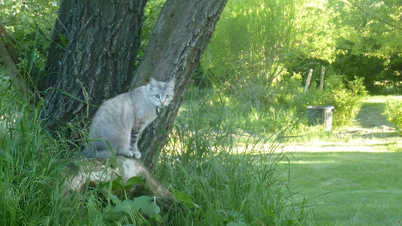 Photo of Outdoor in Saint-Etienne-les-Orgues