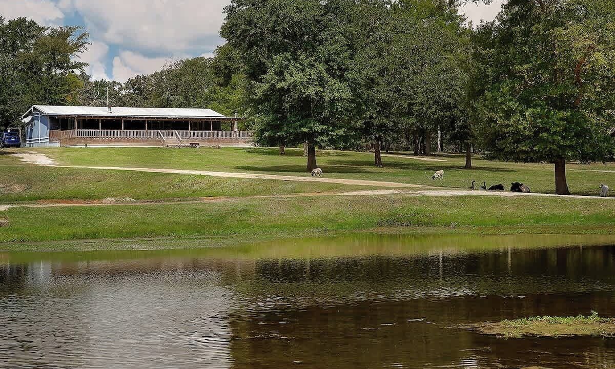 Photo of Outdoor in Centerville