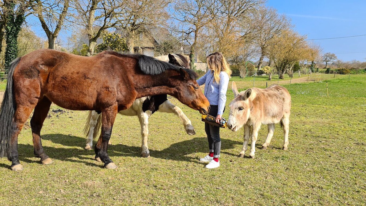 Photo of Others in Plouha