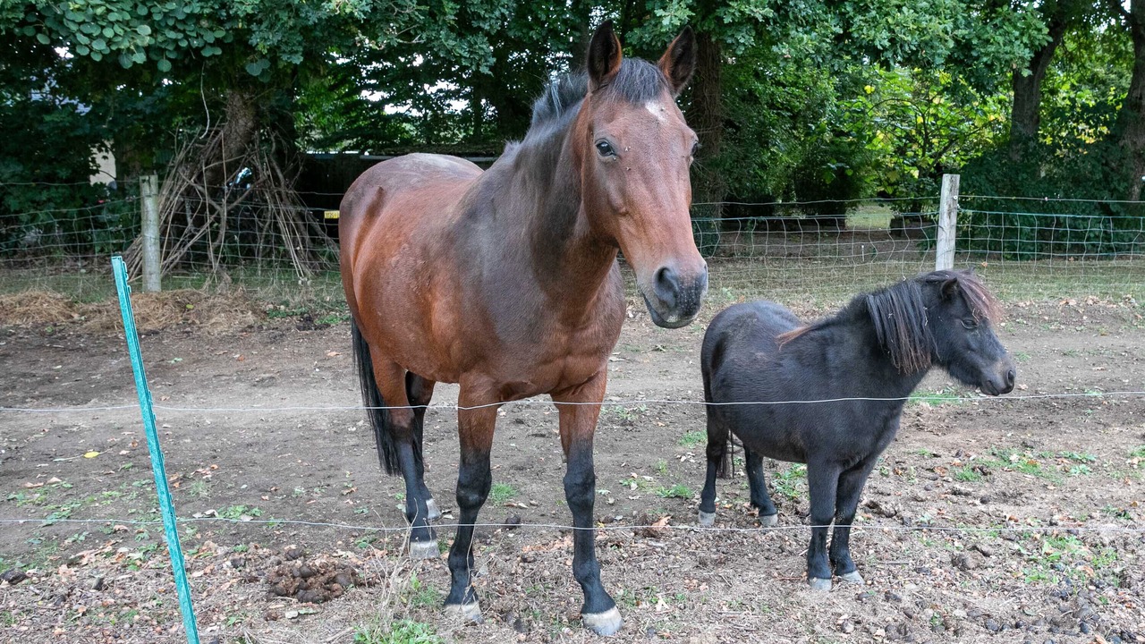 Photo of Others in Plouha