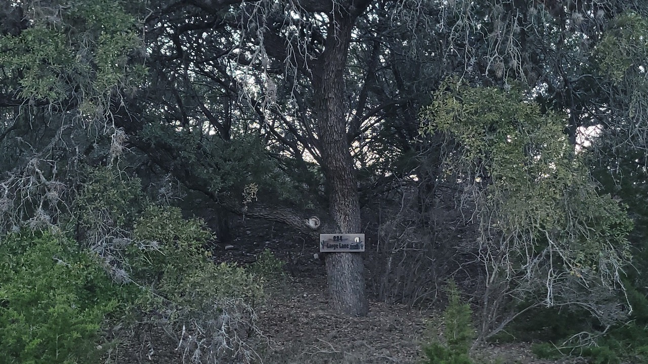 Photo of Others in Leakey