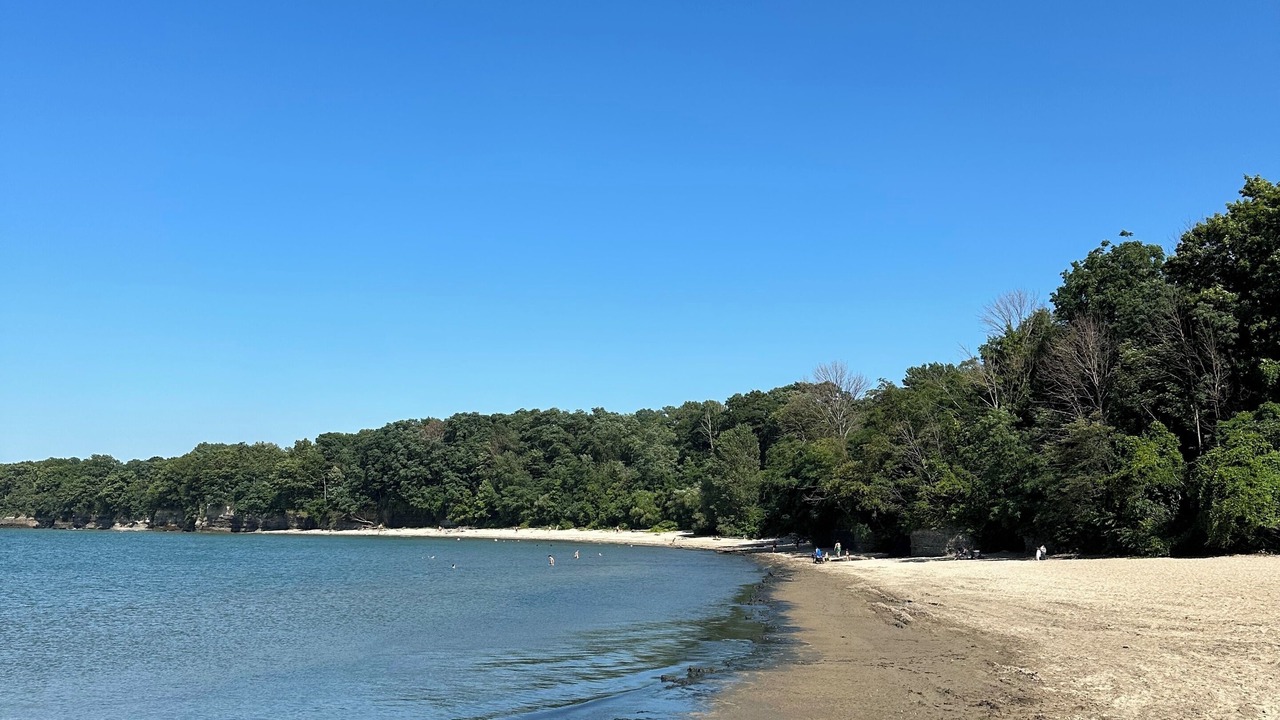 Photo of Others in Westfield