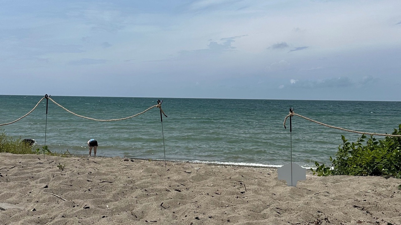 Photo of Others in Westfield