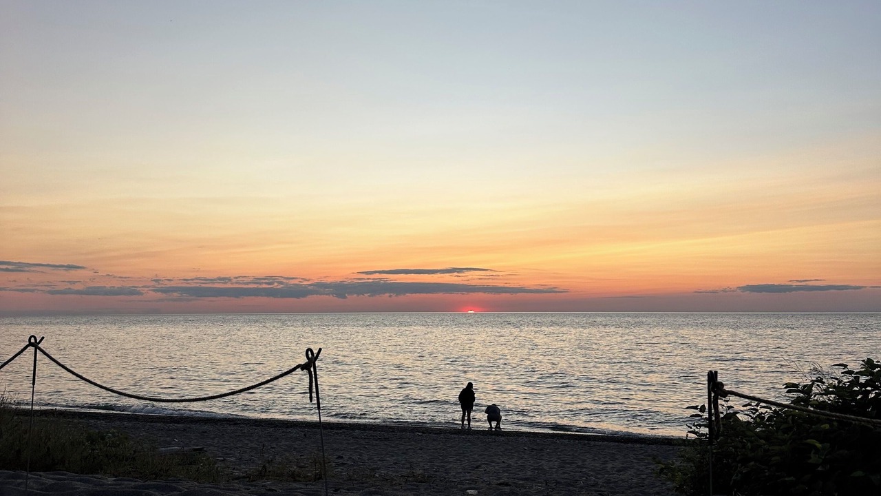 Photo of Others in Westfield