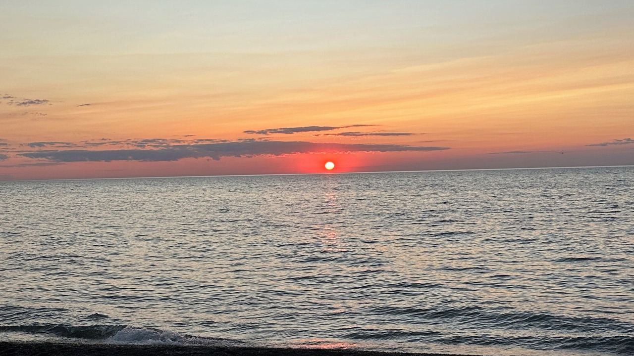 Photo of Others in Westfield