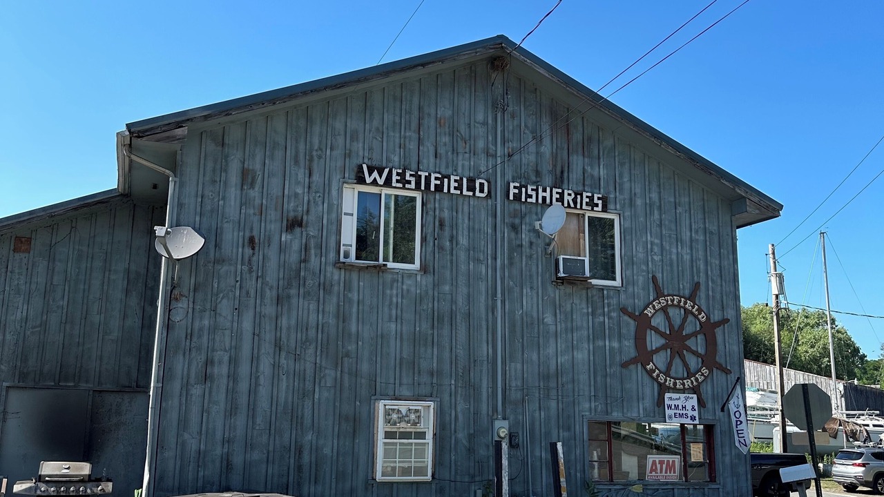 Photo of Outdoor in Westfield