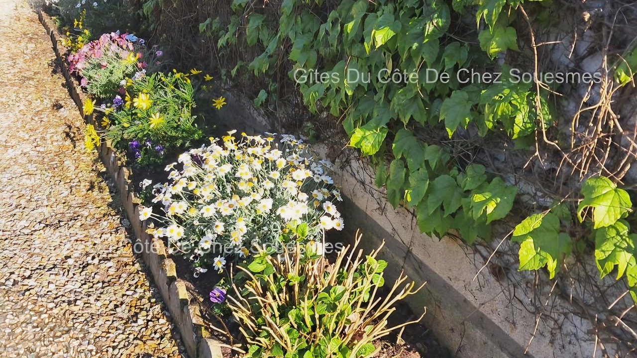 Photo of Outdoor in Souesmes