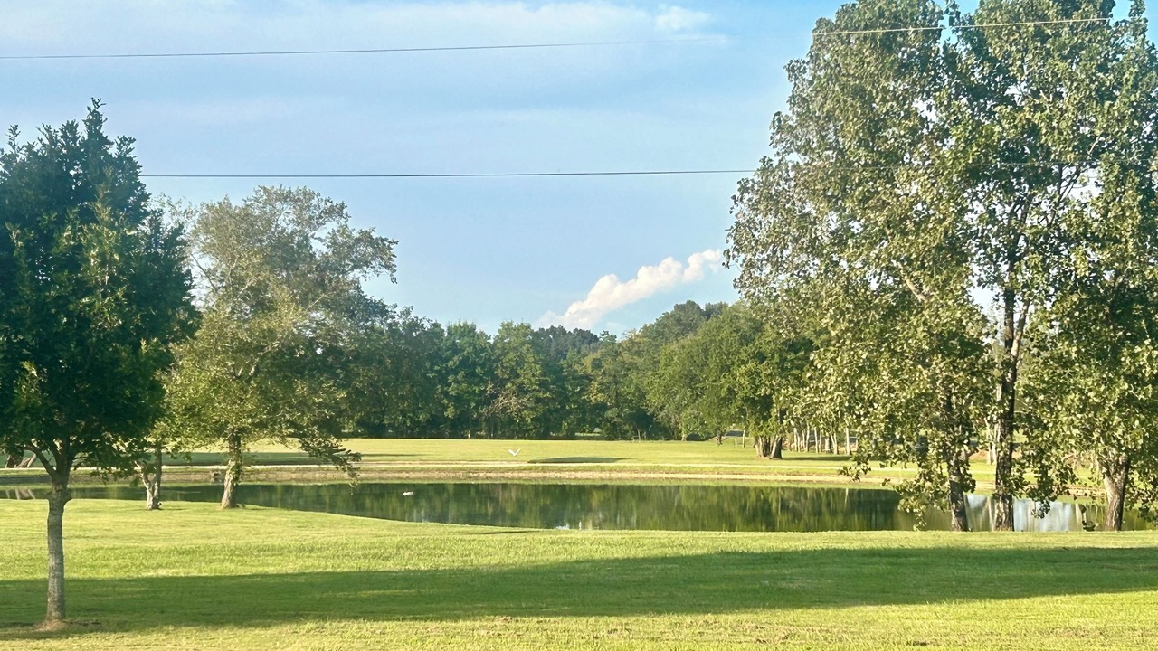 Photo of Others in Mount Meigs