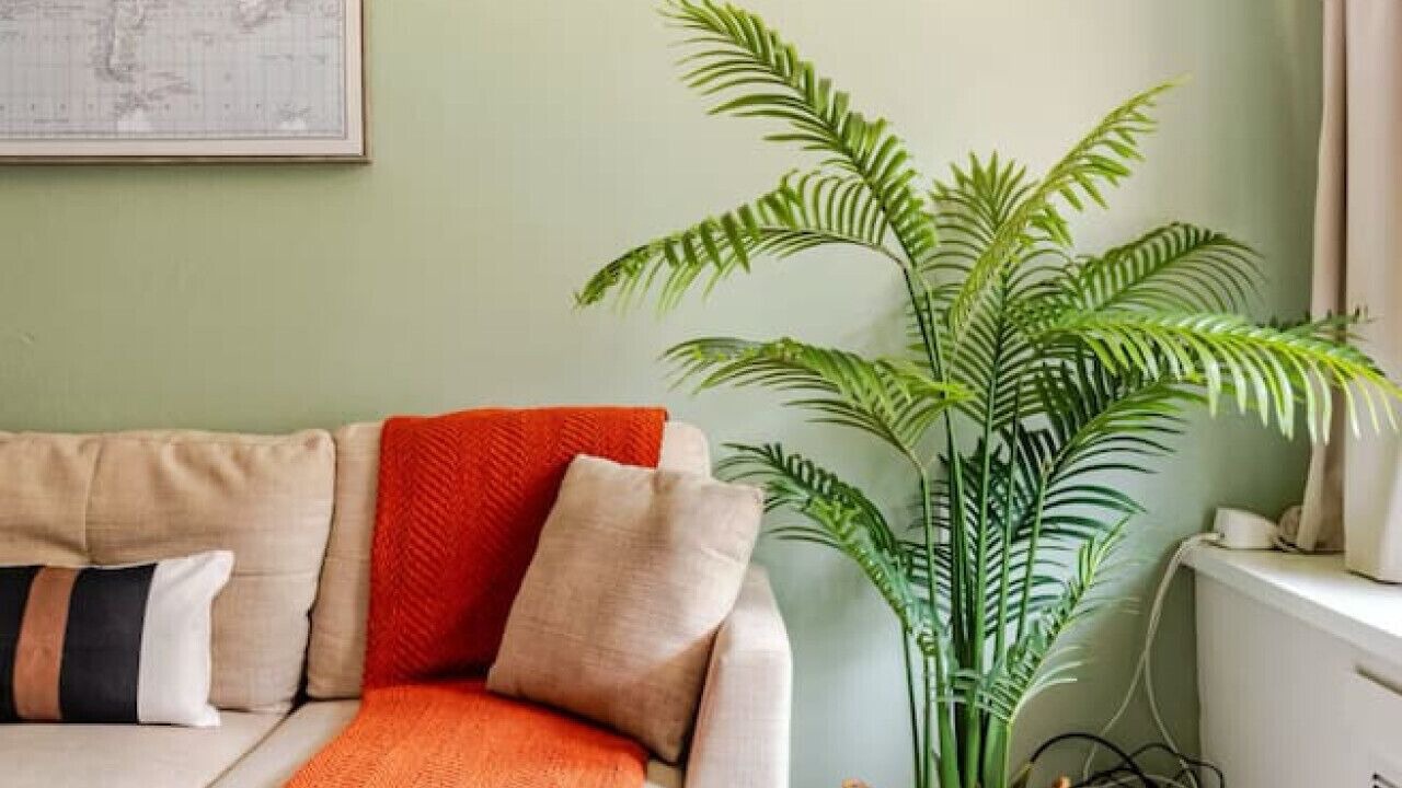 Photo of Others in Columbus