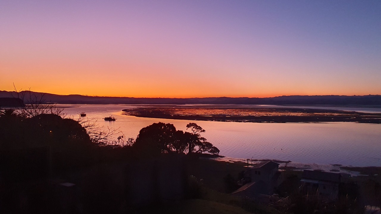 Photo of Others in Kawhia