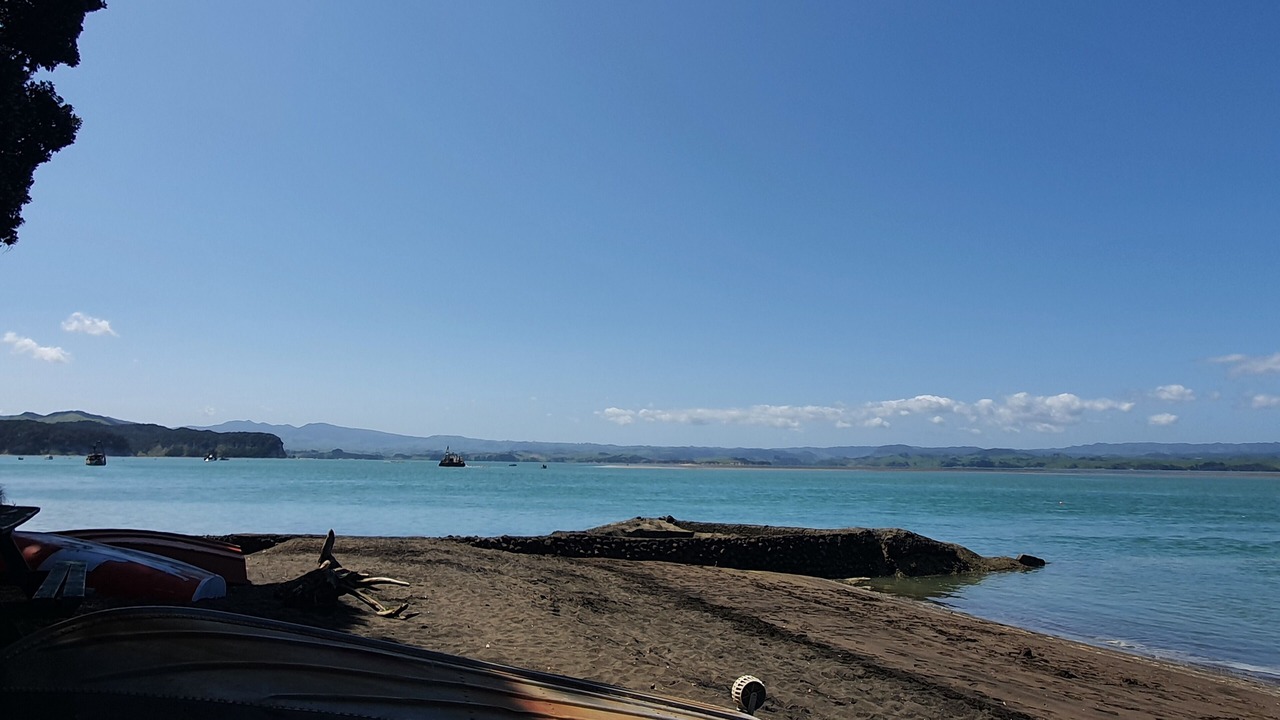 Photo of Others in Kawhia