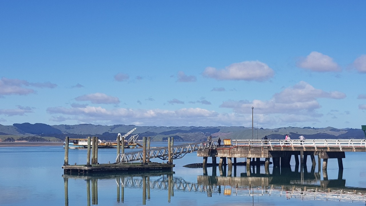 Photo of Others in Kawhia