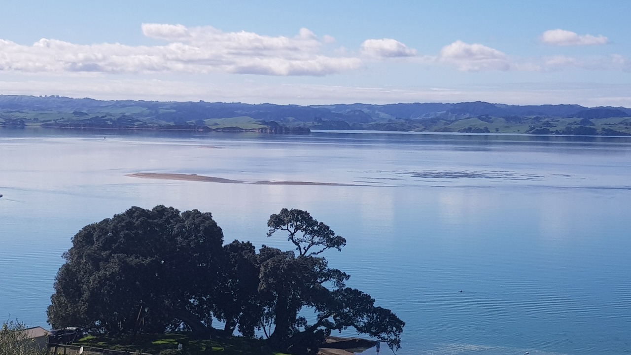 Photo of Others in Kawhia