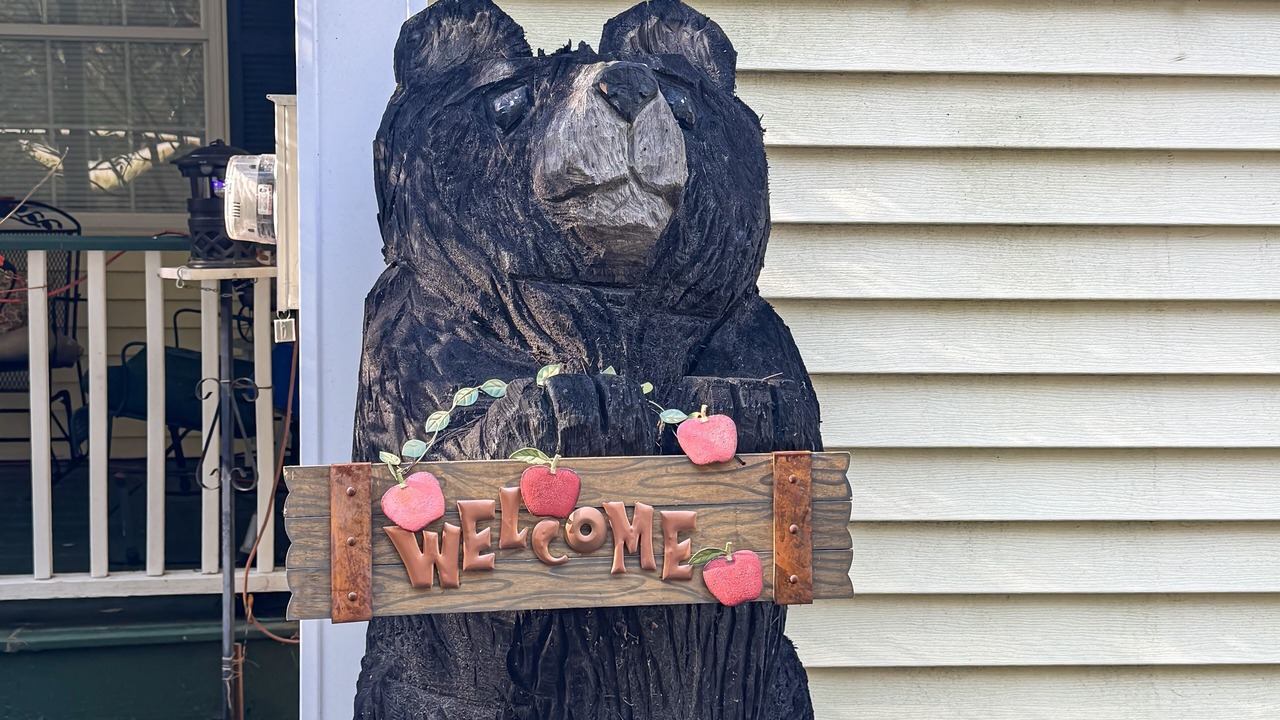 Photo of Outdoor in Center Ossipee