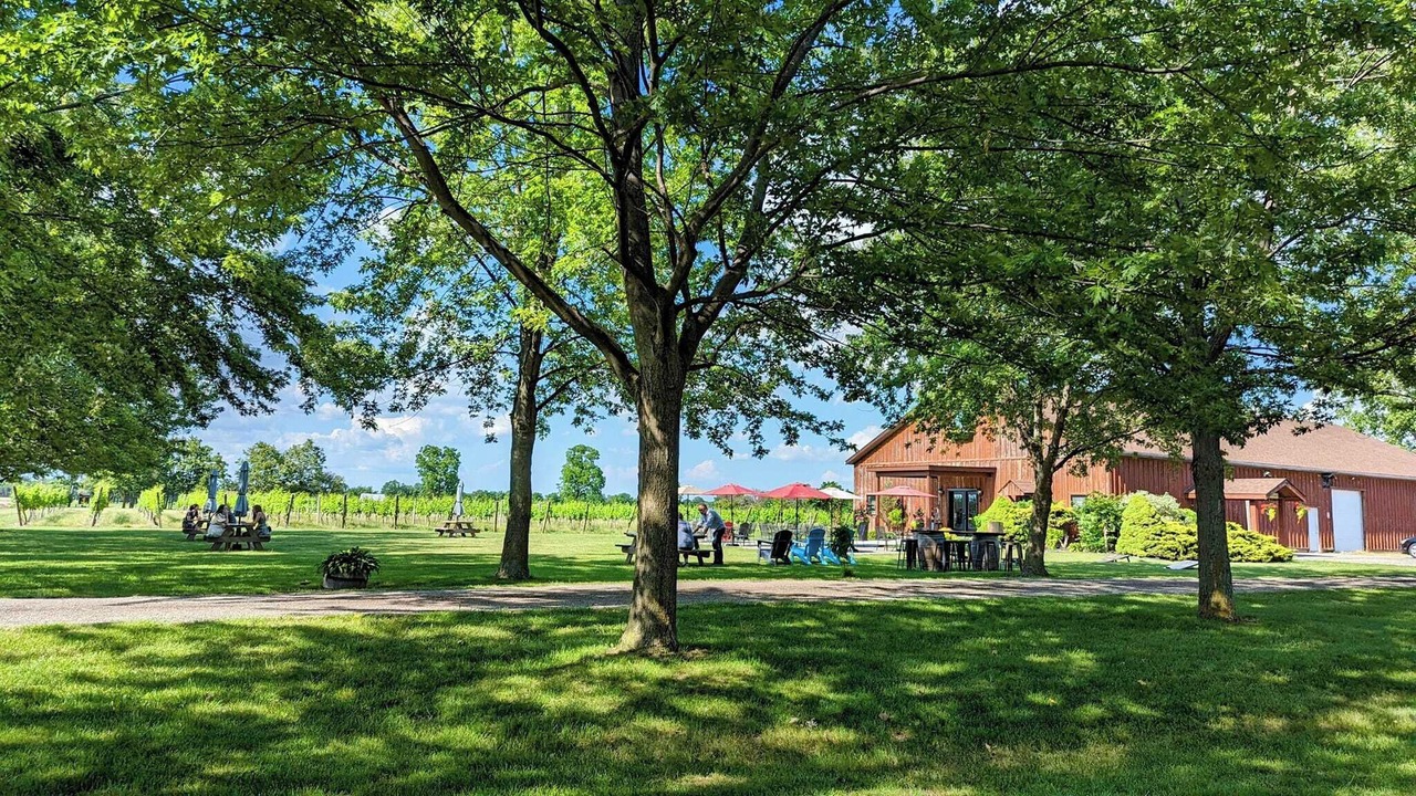 Photo of Outdoor in Boblo Island