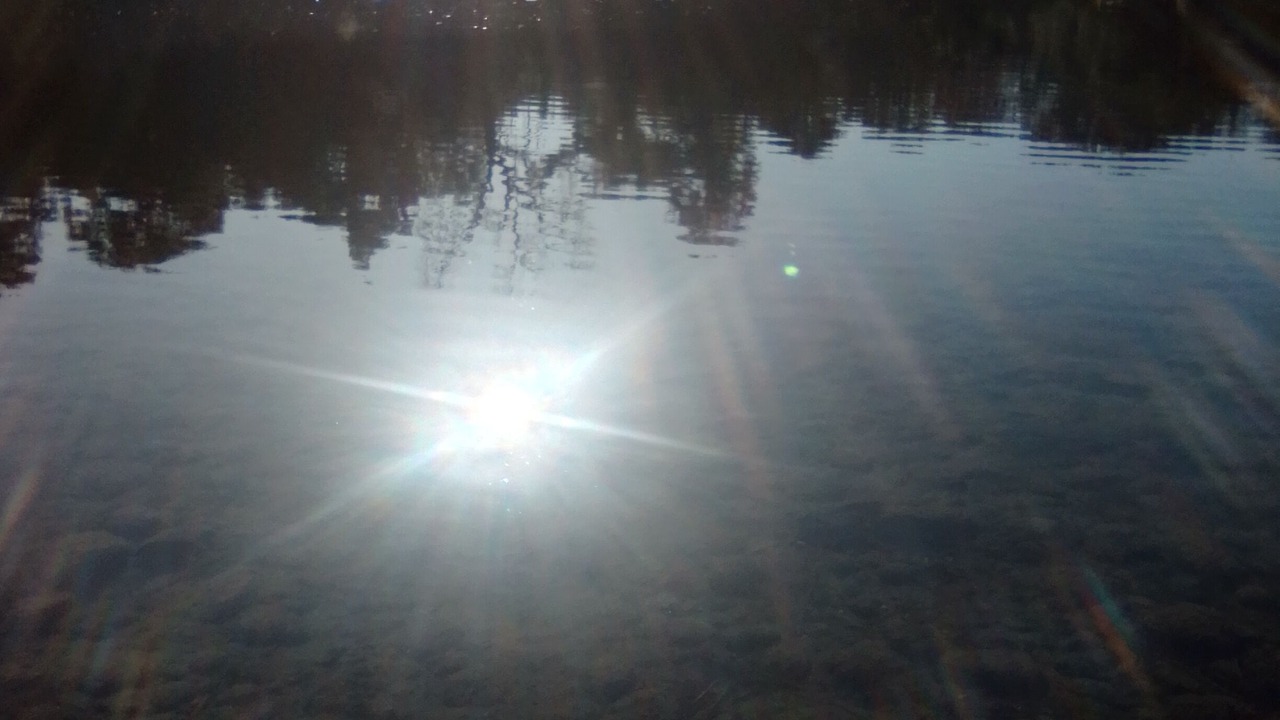 Photo of Others in Oroville