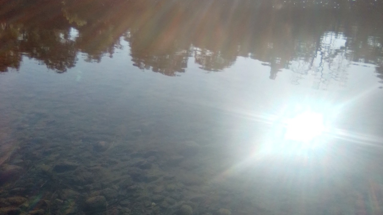 Photo of Others in Oroville