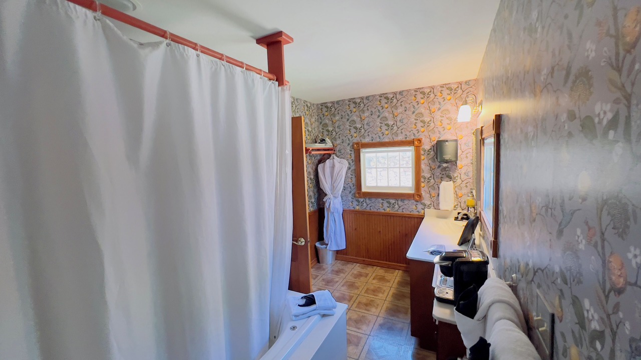 Photo of Bathroom in Eureka Springs Historic District
