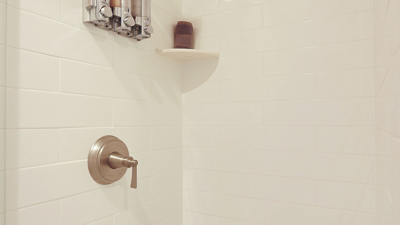 Photo of Bathroom in Lodi