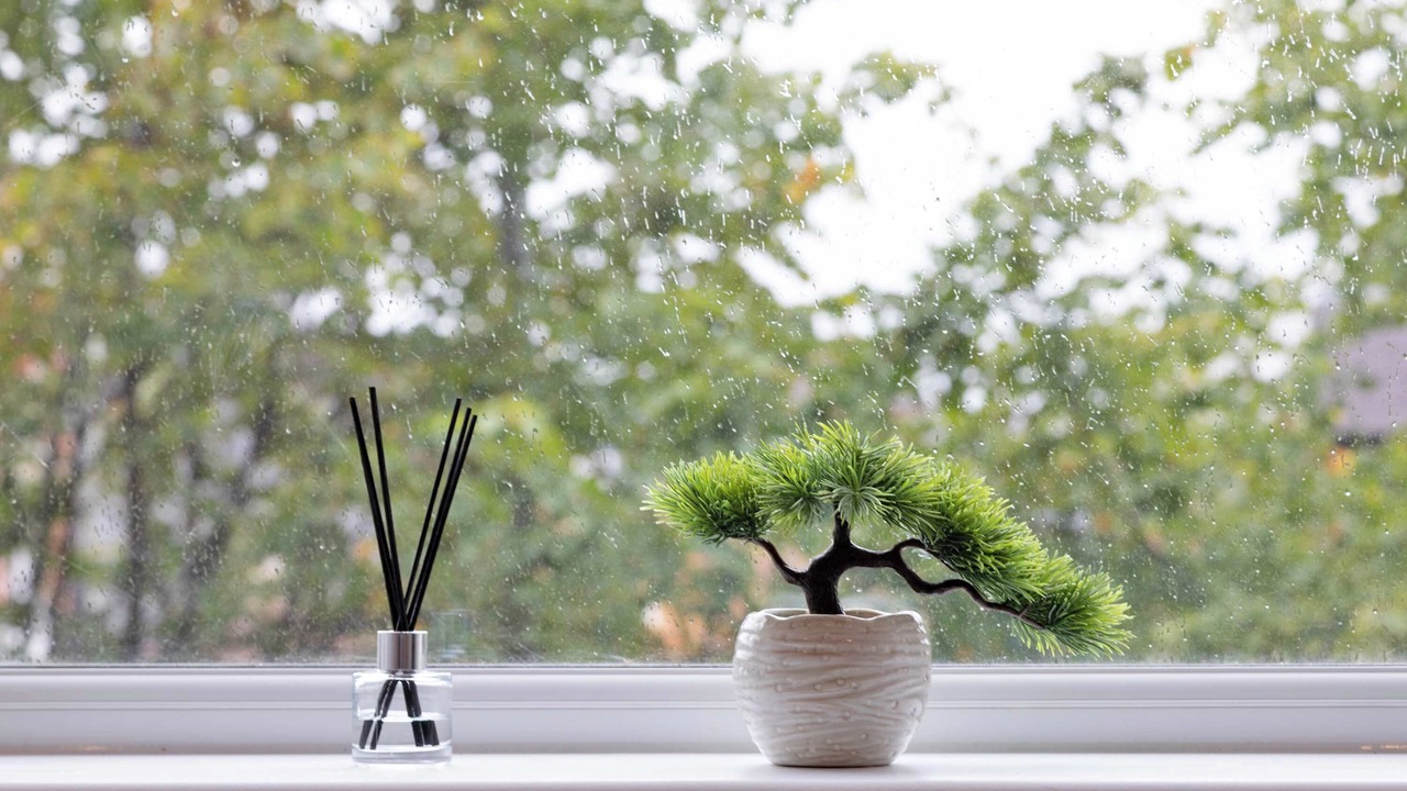 Photo of Others in Gravesend