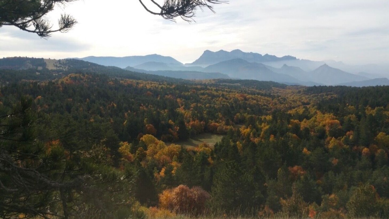 Photo of Others in Aouste-sur-Sye