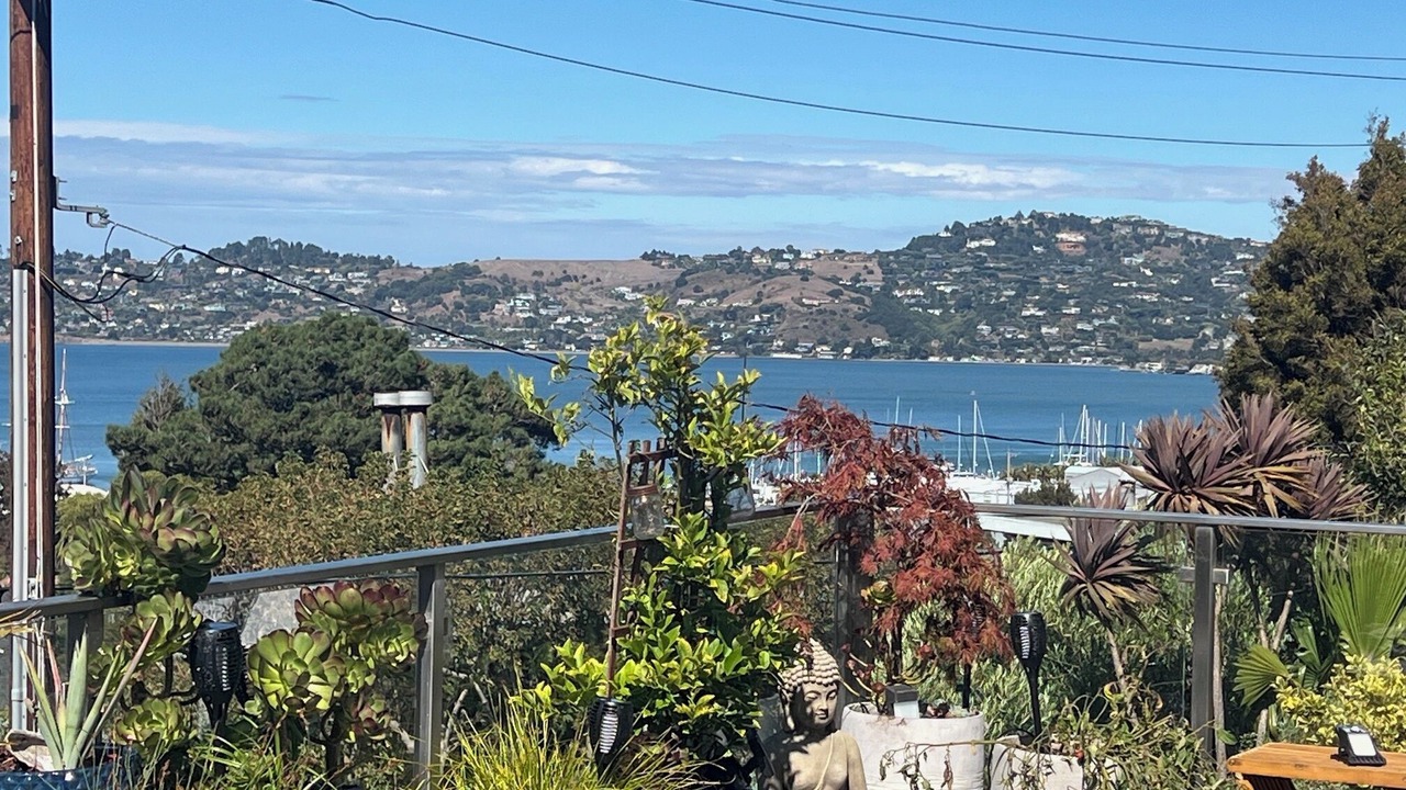 Photo of Outdoor in Sausalito