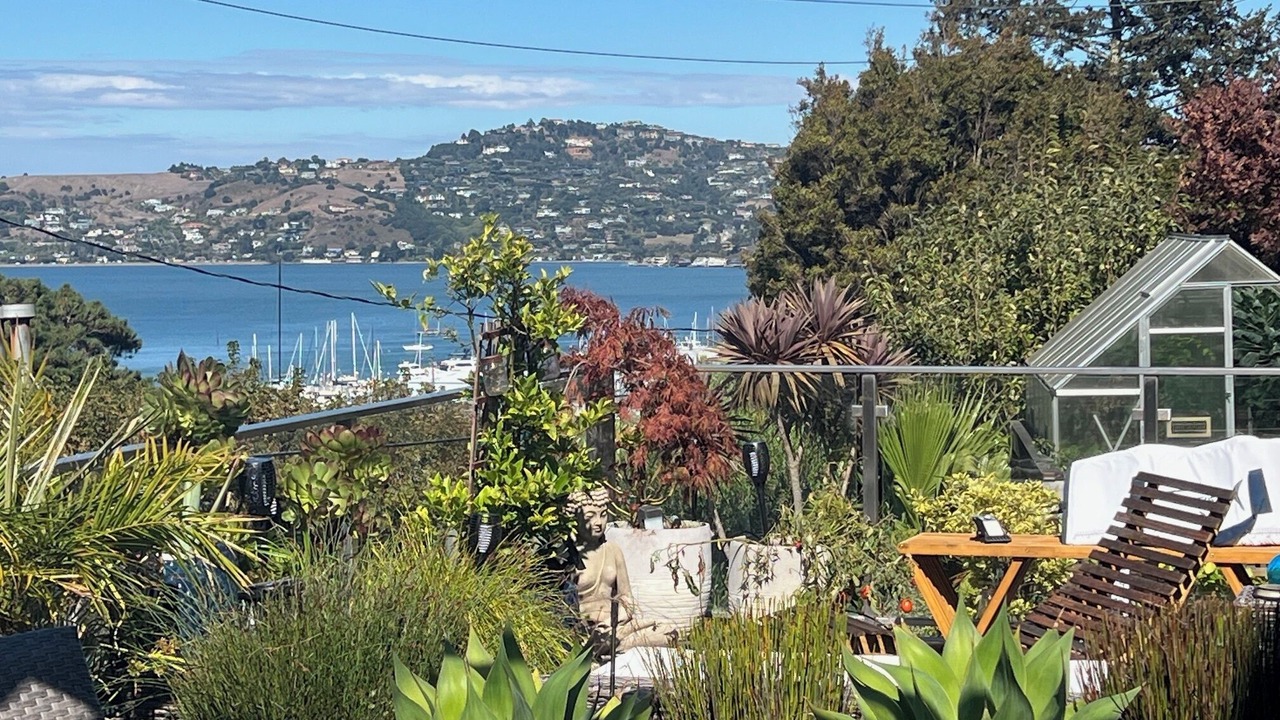 Photo of Outdoor in Sausalito