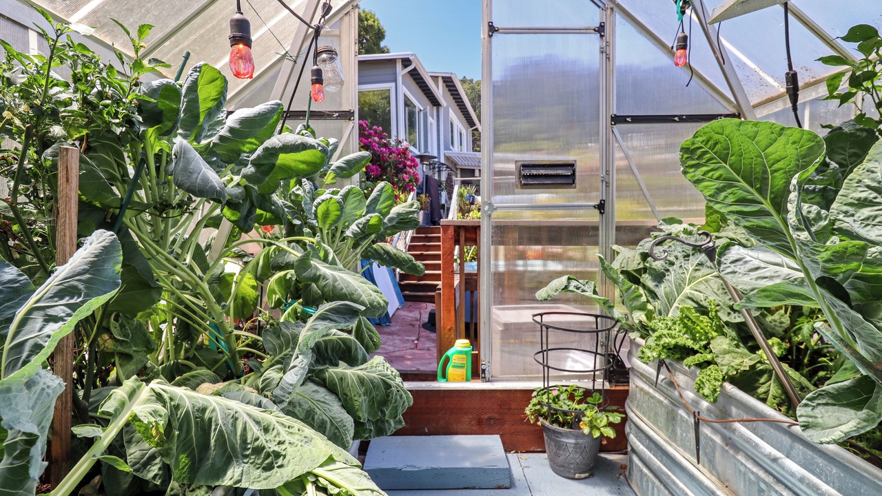 Photo of Outdoor in Sausalito